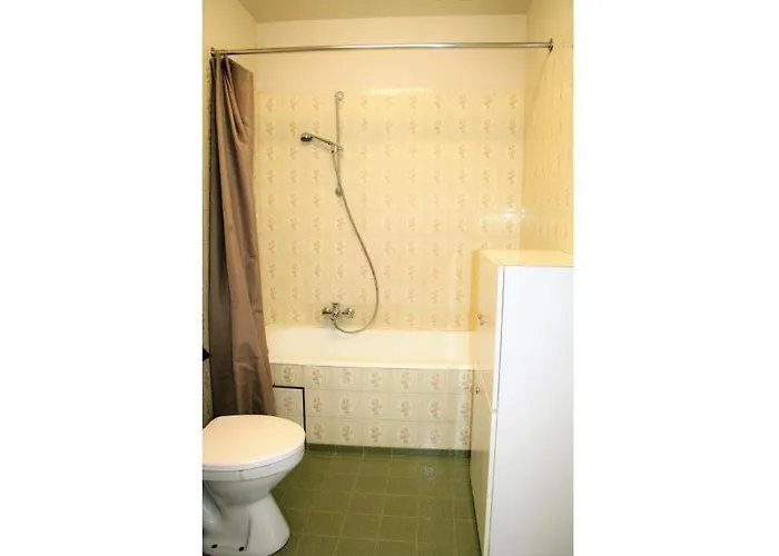 Golden Ii B4 De Haan